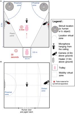 Manipulable Object and Human Contact: Preference and Modulation of Emotional States in Weaned Pigs